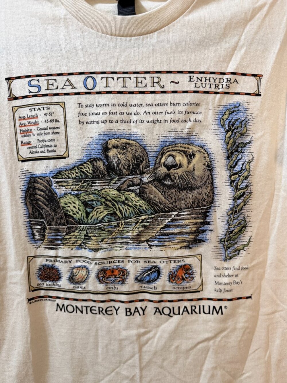 Monterey Bay Aquarium Sea Otter Graphic Tee Off-White Size M - Picture 2 of 4